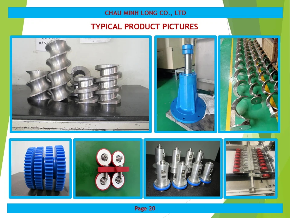 profile ch&acirc;u minh long 