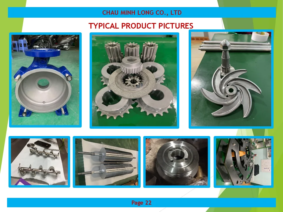 profile ch&acirc;u minh long 