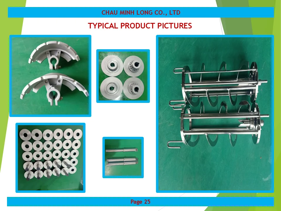 profile ch&acirc;u minh long 