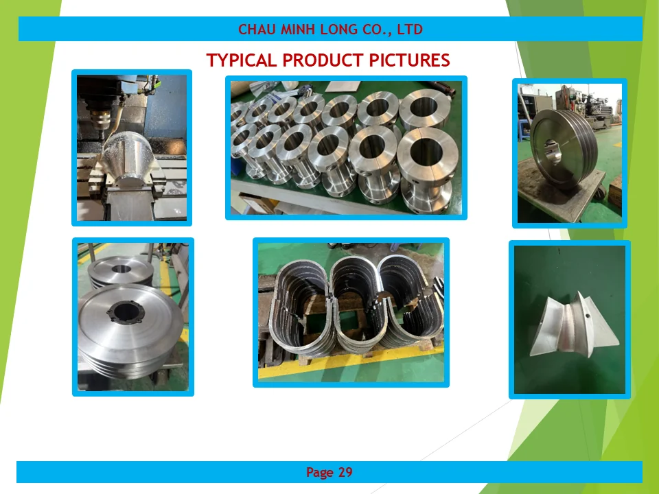 profile ch&acirc;u minh long 