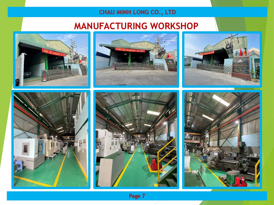 profile ch&acirc;u minh long 